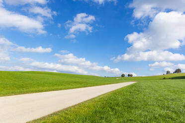 Germany, Upper Bavaria, dirt road crossing fields between Holzhausen and Degerndorf - LHF00732