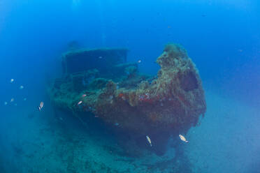 Frankreich, Korsika, Unterwasseransicht des Schiffswracks der Alcione C - italienisches Tankschiff, das im Zweiten Weltkrieg beschossen und versenkt wurde - ZC00831