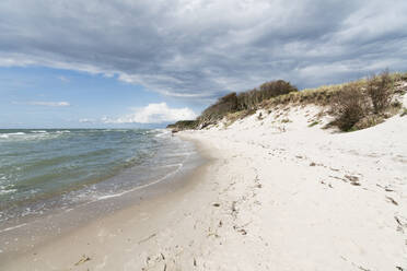 Deutschland, Darss, Leerer Strand an bewölktem Tag - MYF02182