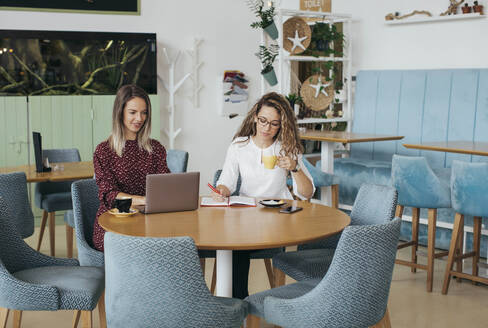 Friends using laptop in a cafe - MOMF00782