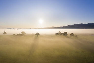 Germany, Upper Bavaria, Greiling, Aerial view of fields in fog at sunrise - SIEF09209