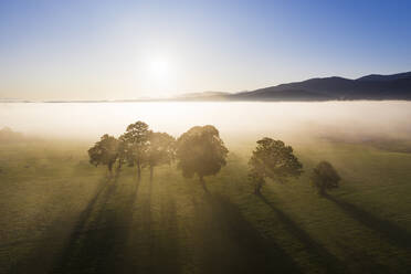 Deutschland, Oberbayern, Greiling, Luftaufnahme von Feldern im Nebel bei Sonnenaufgang - SIEF09210