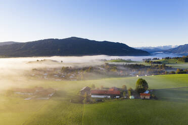 Germany, Upper Bavaria, Greiling, Aerial view of village and fields in fog at sunrise - SIEF09212