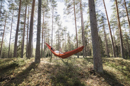 Mann liest Buch in Hängematte im Wald - JOHF04418