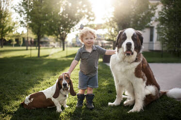 Kleinkind Junge stehend Gras mit 2 Hunden im Hinterhof in schönem Licht - CAVF65908