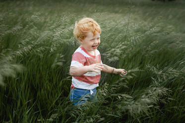Kleinkind Junge 1-2 Jahre alt stehend und lachend in langen wehenden Gras - CAVF65910