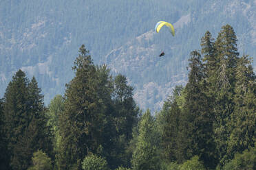 Paragliders fly above tree covered mountains on a sunny day. - CAVF65917