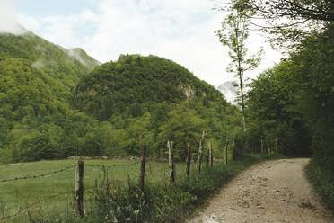 Pfad in den Bergen - JOHF04605