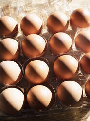 Still life of eggs in egg tray, overhead view - CUF52608