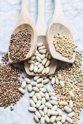 Still life of three wooden spoons hemp seeds, lima beans and pearl barley, overhead view - CUF52650