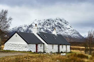 White coloured cottages in countryside, Scottish Borders, Vereinigtes Königreich - CUF52661