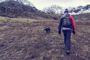 Male hiker and dog hiking up rugged landscape with snow capped mountains, rear view, Llanberis, Gwynedd, Wales - CUF52882