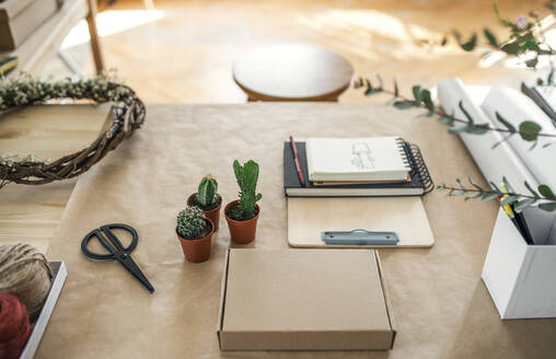 Cacti and accessories on table - HAPF03005