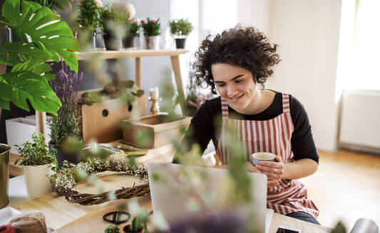 Lächelnde junge Frau mit Laptop in einem kleinen Laden mit Pflanzen - HAPF03019