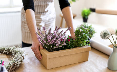 Nahaufnahme einer Frau mit Blumen in einer Pappschachtel auf einem Tisch, lizenzfreies Stockfoto