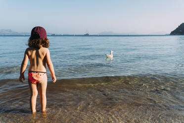 Rückenansicht eines kleinen Mädchens, das an der Strandpromenade steht und schwimmende Möwen beobachtet, Pollenca, Mallorca, Spanien - GEMF03249