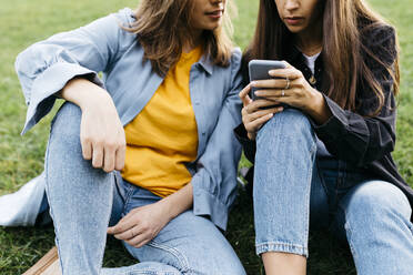 Two friends looking on the smartphone, sitting on a meadow of a park - JRFF03805