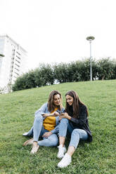 Zwei Freunde, die auf einer Wiese in einem Park sitzen und auf ihr Smartphone schauen - JRFF03806