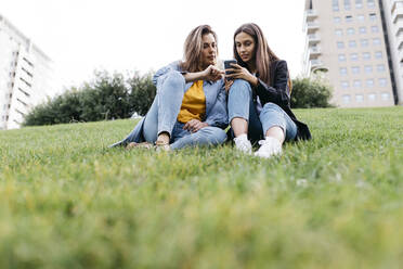 Two friends looking on the smartphone, sitting on a meadow of a park - JRFF03807