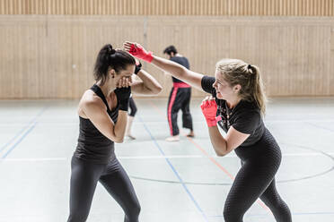 Boxerinnen beim Training in der Sporthalle - STBF00454
