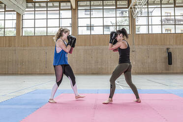 Boxerinnen beim Training in der Sporthalle - STBF00466