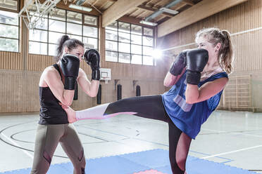 Kickboxerinnen beim Training in der Sporthalle - STBF00469