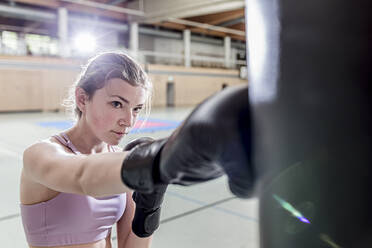 Weiblicher Boxer beim Training am Boxsack in der Sporthalle - STBF00488