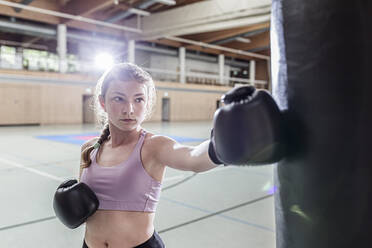 Weiblicher Boxer beim Training am Boxsack in der Sporthalle - STBF00490