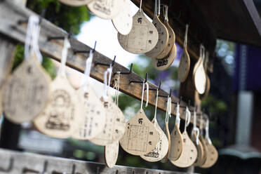 Opfergaben in einem Tempel in Tokio, Japan - ABZF02655