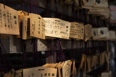 Opfergaben in einem Tempel in Tokio, Japan - ABZF02662