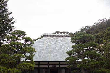 Kamakura-Tempel, Japan - ABZF02669