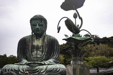 Großer Buddha von Kamakura, Japan - ABZF02676