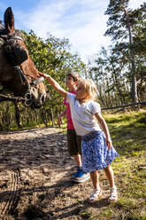 Junge und Mädchen streicheln ein Pferd - EGBF00481