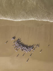 Luftaufnahme der balinesischen Zeremonie am Strand - CAVF66053