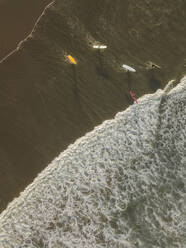 Aerial view of surfers at the beach - CAVF66079