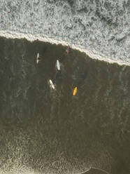 Aerial view of surfers at the beach - CAVF66081