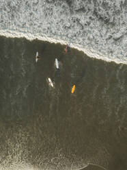 Luftaufnahme von Surfern am Strand - CAVF66081