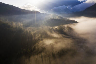 Germany, Bavaria, Mittenwald, Rising sun illuminating fog shrouding Ferchensee lake and surrounding forest - SIEF09220