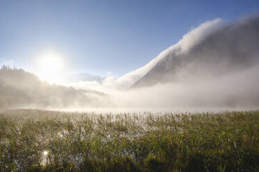 Deutschland, Bayern, Mittenwald, Dichter Nebel schwebt über dem Ferchensee bei Sonnenaufgang - SIEF09224