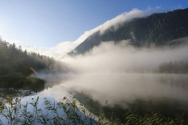 Germany, Bavaria, Mittenwald, Thick fog floating over Ferchensee lake at dawn - SIEF09226