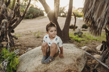 Portrait of young boy sitting on rock and smiling in cactus garden - CAVF66330