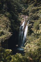 High angle view of waterfall in forest - CAVF66581