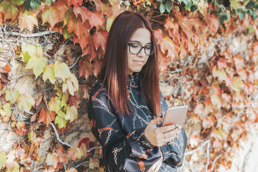 Porträt eines Teenagers mit gefärbten roten Haaren, der im Herbst sein Smartphone überprüft - DLTSF00278