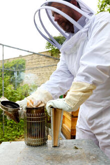 Männlicher Imker bei der Vorbereitung des Bienenräuchers im ummauerten Garten - CUF52949