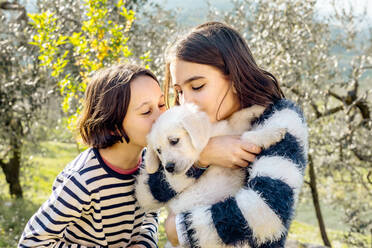 Zwei Mädchen küssen einen süßen Golden Retriever Welpen im Obstgarten, Scandicci, Toskana, Italien - CUF52970
