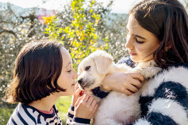 Two girls holding and petting a cute golden retriever puppy in orchard, Scandicci, Tuscany, Italy - CUF52971
