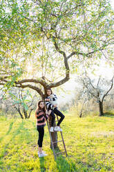 Mädchen und ihre Schwester halten einen süßen Golden Retriever-Welpen auf einer Baumleiter in einem sonnenbeschienenen Obstgarten, Porträt, Scandicci, Toskana, Italien - CUF52989