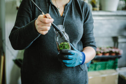 Woman filling glass bottle with plants in nursery - CUF53001
