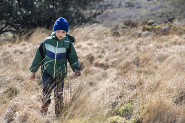 Boy exploring national park, Llanaber, Gwynedd, United Kingdom - CUF53072