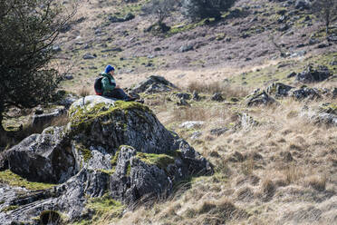 Junge erkundet Nationalpark, Llanaber, Gwynedd, Vereinigtes Königreich - CUF53073